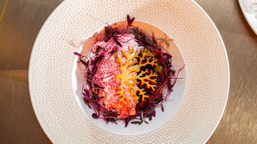 analise de conteúdo gratis