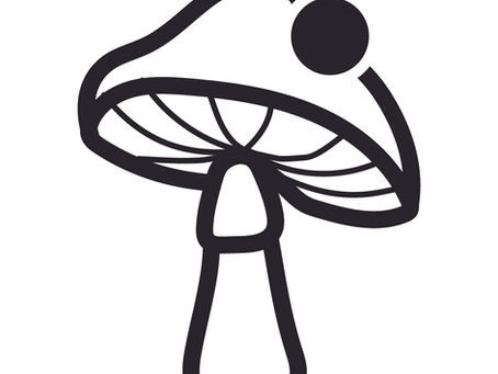 Psilocybin Therapie Wirkung Studienlage und Bedeutung professionell begleiteter Retreats