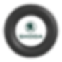 Skoda.png
