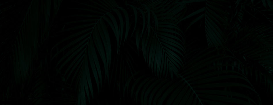 Dark Background.jpg
