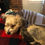 Thumbnail: Striped Puppy Sweater