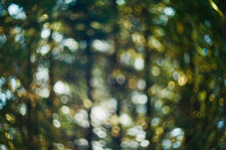 3CC82156-548F-4450-8DFC-C6490CD7A9EE.jpeg