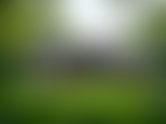 Why Use AI Agents to Sell Your New Canaan Home?