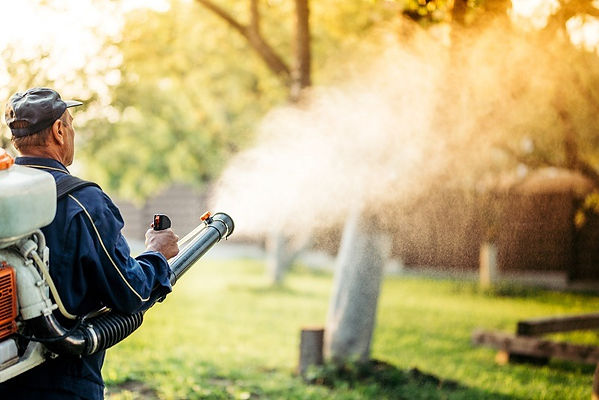 mosquito fogger.jpg