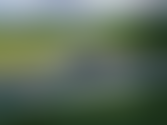 Detailed Reviews of the Top 10 Race Driver Programs