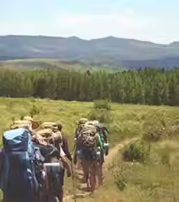 On the Trail.avif