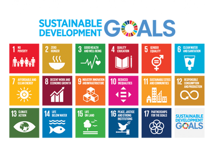 Rapporto tra SDG e ESG: Misurare e ridurre l’impronta ambientale