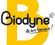 Brune Vannier atelier Bien-être en entreprise Biodyne