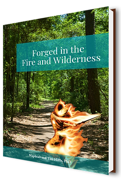 Forged in the Fire and Wilderness Cover.