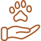 Positive.png