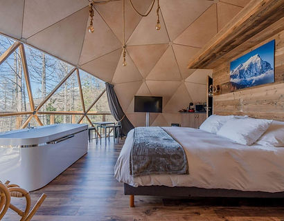 Dome Interior.jpeg