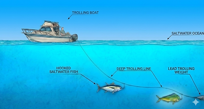 Salt Water fishing diagram