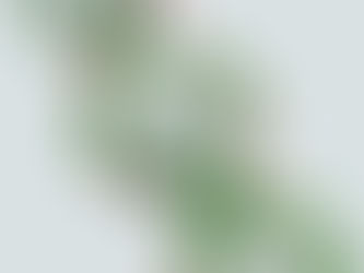 طفرة جين BRCA واستئصال الثدي الوقائي: خياراتك لإعادة بناء الثدي