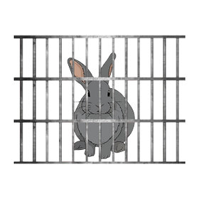 rabbit in cage, sad