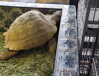 Screen Shot 2025-01-30 at 1.34_edited.jp