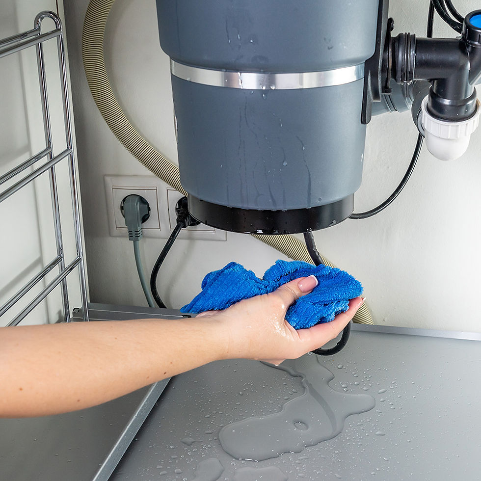 Garbage Disposal Repair