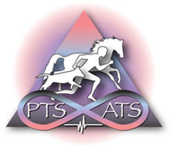 Animal Therapy Systems