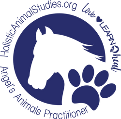 Holistic Animal Courses