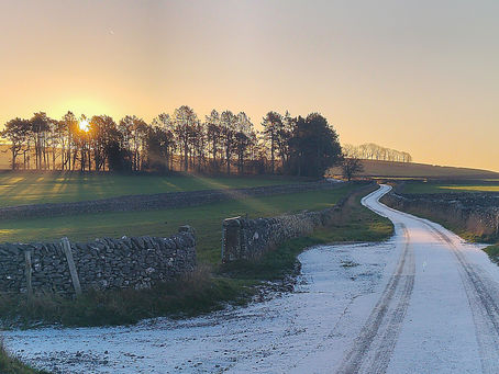 Trees, sunrise, and a winding winter lane in the Peak District