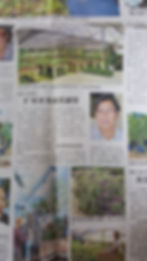 BU SENG CHONG NURSERY SDN BHD