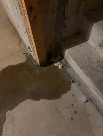 Damp concrete floor with a dark puddle leaking from the base of a wooden wall or door frame, showing stains and grime