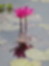 P1010017.JPG