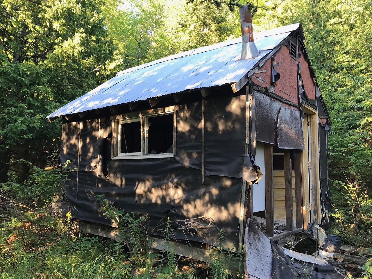 The Old Cabin