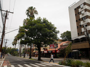 Empresa de mobiliário urbano adota 10,3 mil metros de canteiros