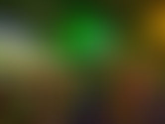 Prefeitura adota novas medidas para eventos de São Patrício