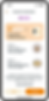 Visual App Ambassador page.png