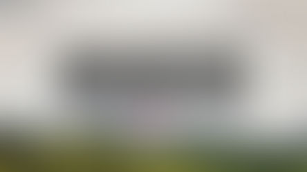 The Hurt and the Healer