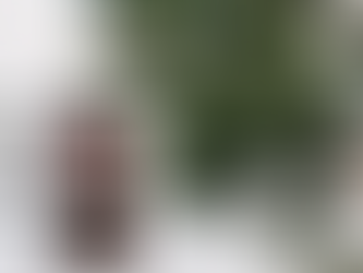 How to Choose the Best Offer When Selling Your Home