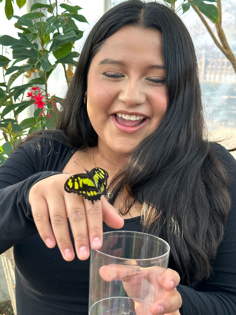 girl holding butterfuly