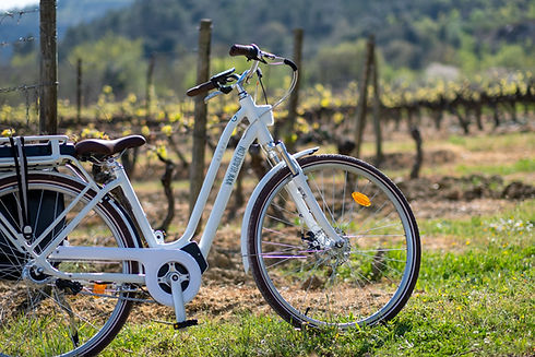 Een vél'aude ebike in een wijgaard