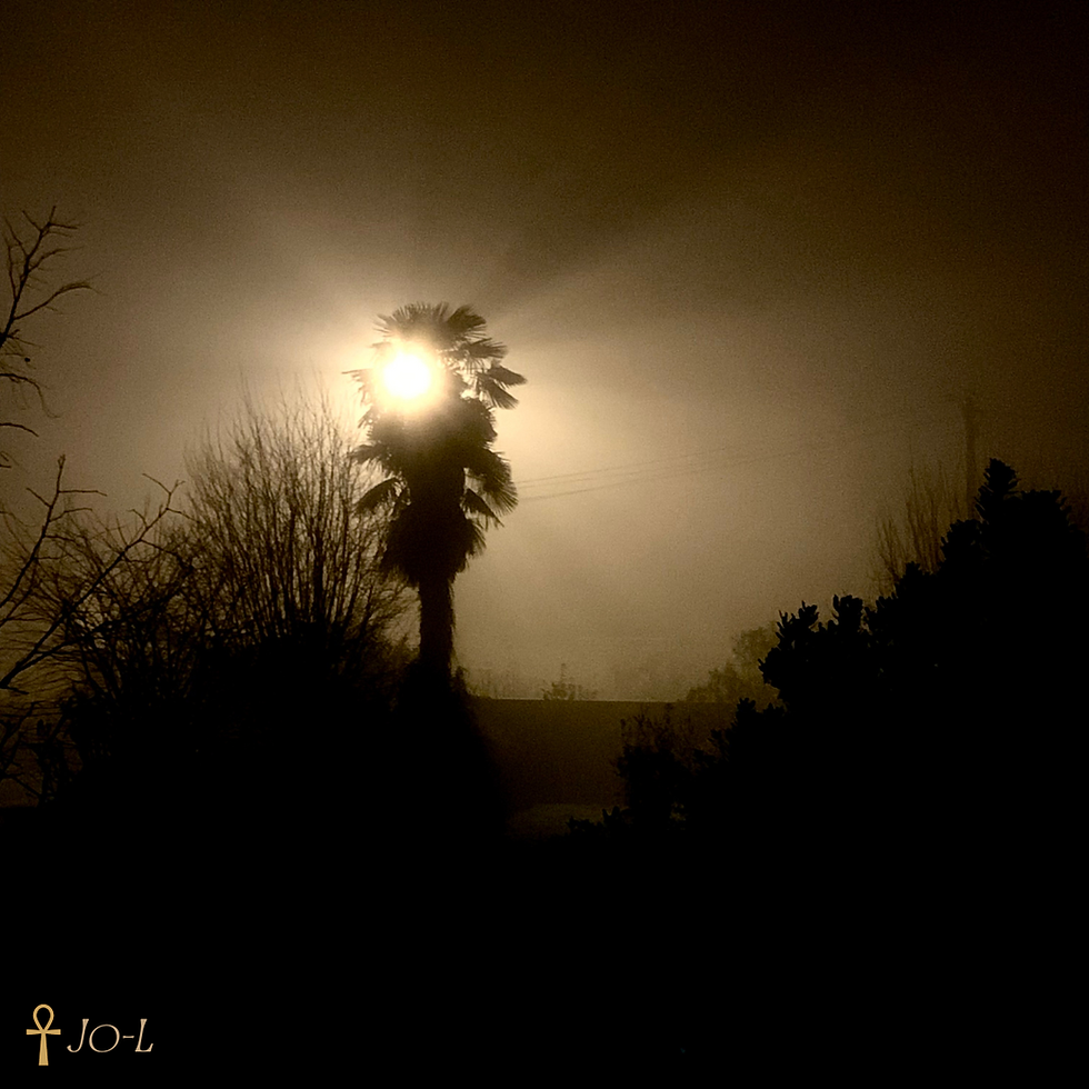 énergies de la première pleine lune de l'année en Lion
