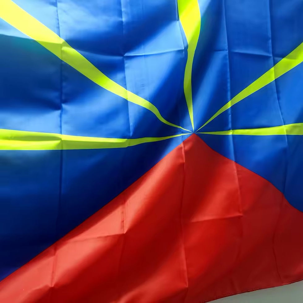 Miniature : Drapeau polyester l'île de la réunion 90x150 cm