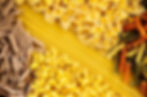 Pasta & Others
