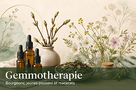 gemmotherapie-carte-accueil-lisible.png