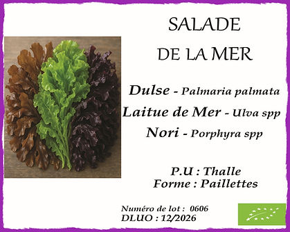 Etiquette Salade de la mer8x10cm_InPixio.jpg