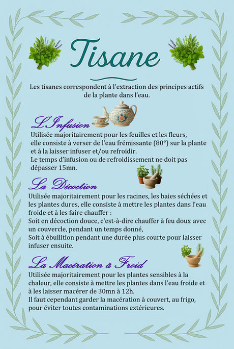 TISANE OK.jpg
