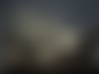 THE VIKINGS GIFTS: UNLEASHING NORSE-INSPIRED TREASURES