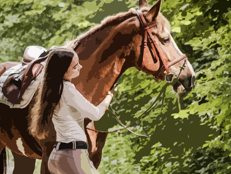 Gear Up for Greatness: Best Gifts for Horse Riders