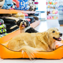 Pet Shop in Seawoods Nerul Navi Mumbai