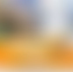 31 de mayo: Últimos días para postular a los Fondos Sociales y Científicos Purina