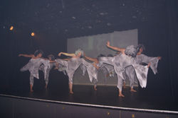 La Compagnie Choréâmes