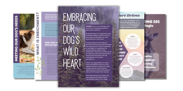 Ebook Sample.png
