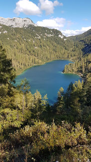 20201004_145054.jpg