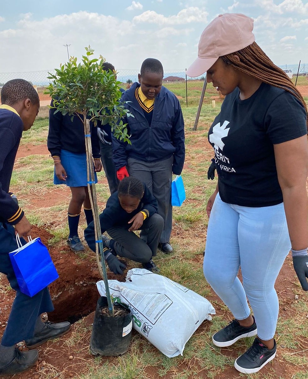 Roots of Change: Youth-Led Action at Grassroots level with global insights (1)