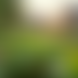 Call From Earth: A Message From The Mother