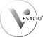 Vesalio%20Logo_edited.png